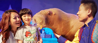 智慧平台搭建：智慧旅游景区门票在线订购系统案例－大连圣亚海洋世界