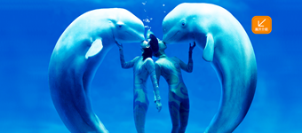 主题乐园景区智慧旅游营销官网案例——哈尔滨极地馆