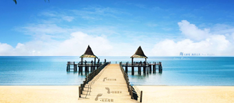 房地产网站设计开发：海南白金海岸楼盘项目