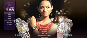 网站设计开发：天王表电子商务网站品牌改造设计