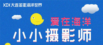 主题公园景区微信营销：大连圣亚海洋世界爱在海洋之小小摄影师